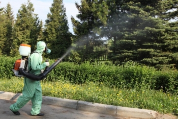 Уничтожение комаров в Солнечногорске