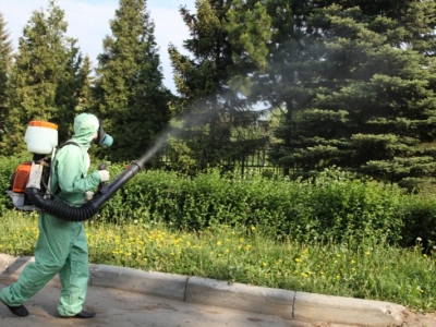 Уничтожение комаров в Солнечногорске